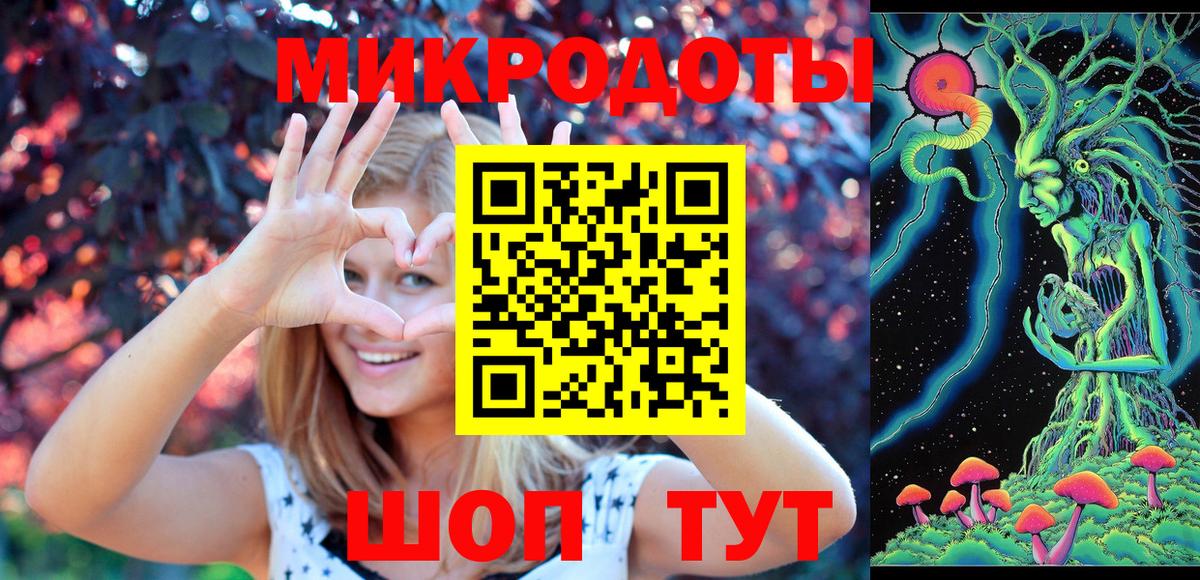 Псилоцибиновые грибы Cubensis Ревда